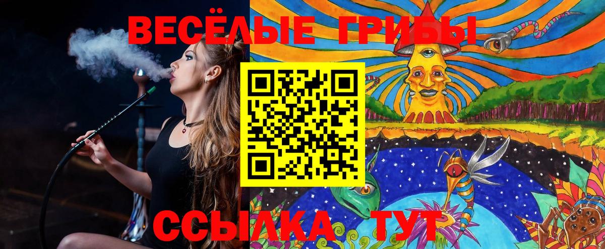 Псилоцибиновые грибы прущие грибы  где продают   Омск  Вход с VPN 