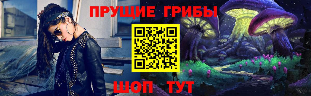 Псилоцибиновые грибы Psilocybe Омск